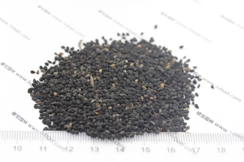 <a href='http://www.fscangbo.com/caohuazhongzi/1061.html' target='_blank'>黑種草種子</a>