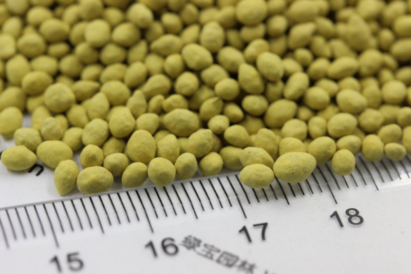 百喜草種子 百喜草種子