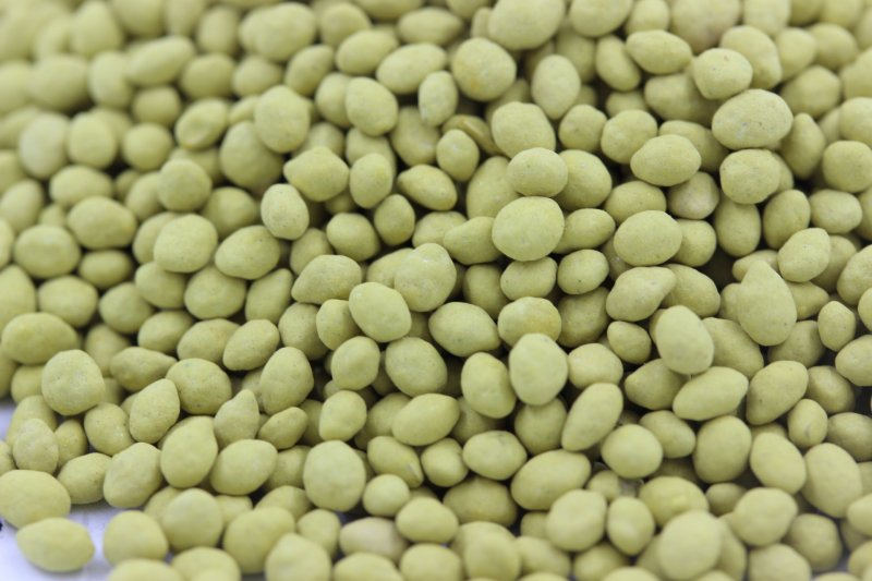 百喜草種子 百喜草種子