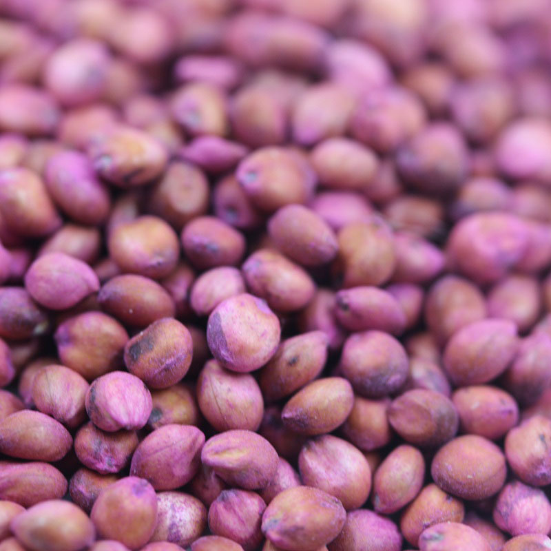 <a href='http://www.fscangbo.com/mucaozhongzi/4.html' target='_blank'>高丹草種子</a>