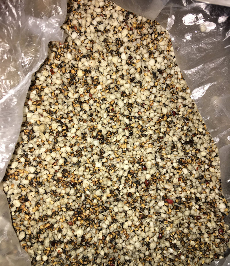 <a href='http://www.fscangbo.com/tengbenpanyuanzhiwu/3570.html' target='_blank'>月季</a>花<a href='http://www.fscangbo.com/' target='_blank'>種子</a>冷積<a href='http://www.fscangbo.com/shichangjiage/21353.html' target='_blank'>催芽</a>